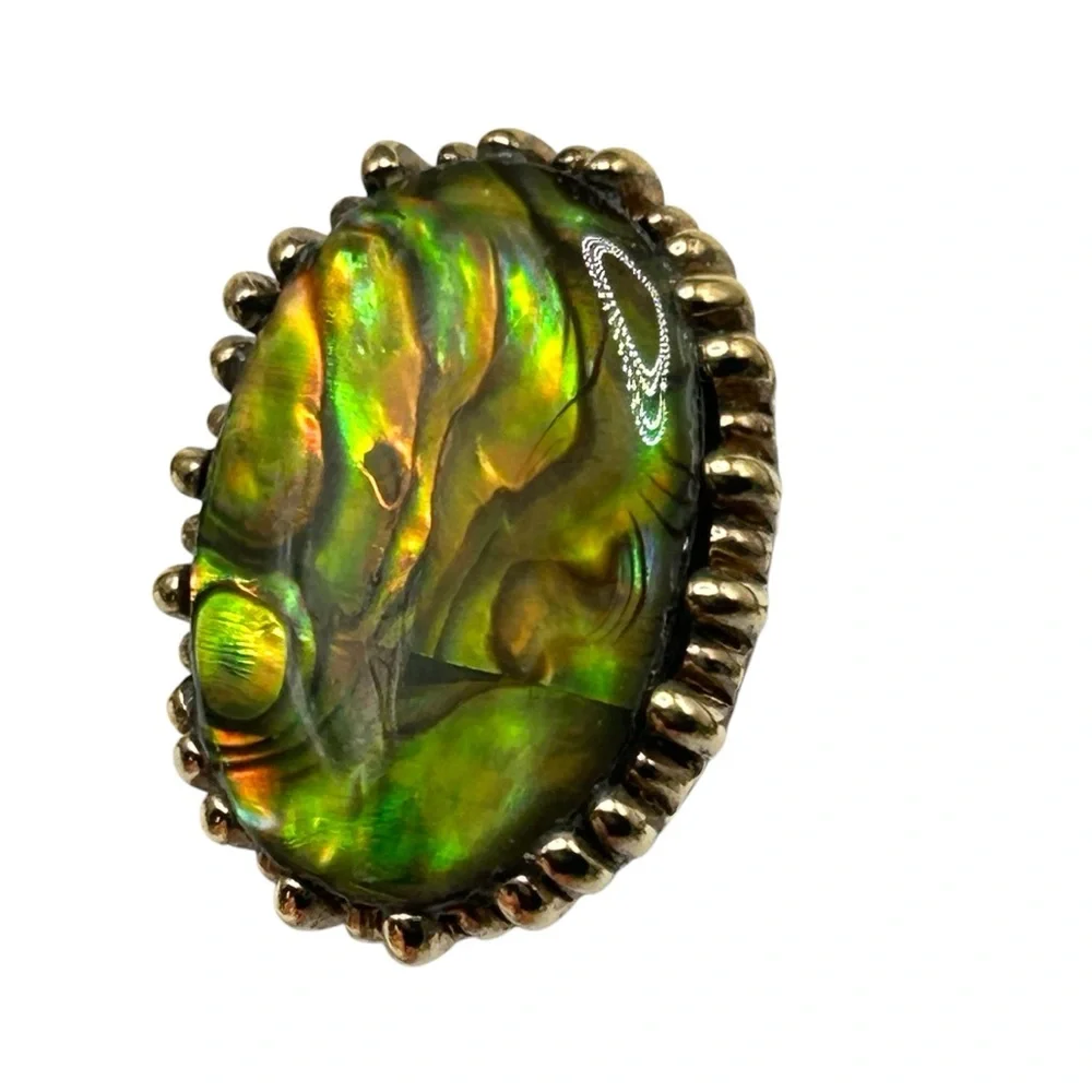 Vintage Ciner Abalone Clip Earrings